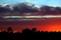 Red Sunset Glow (click to enlarge)